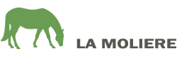 La Molière